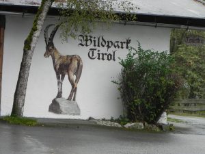 wildpark-tirol-1